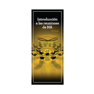 IP #29 INTRODUCCIÓN A LAS REUNIONES DE NA