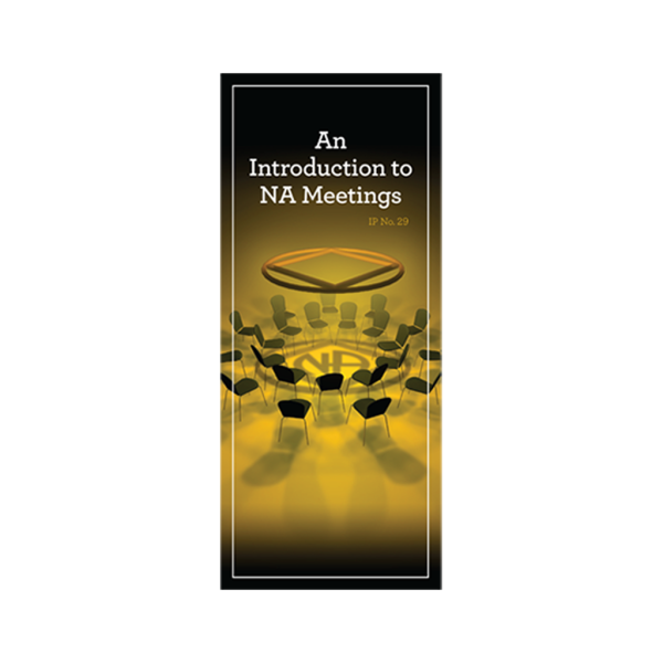 IP #29 An Introduction to NA Meetings - ENGLISH